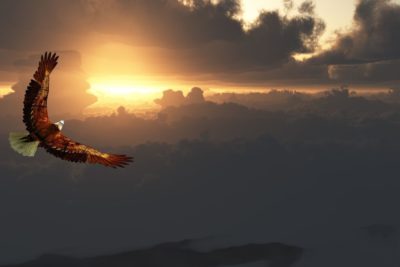 significado de soñar con un águila