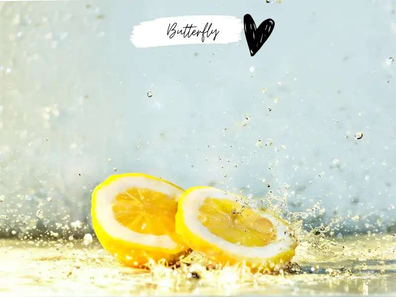 Agua de limón para una buena digestión, desintoxicación y más